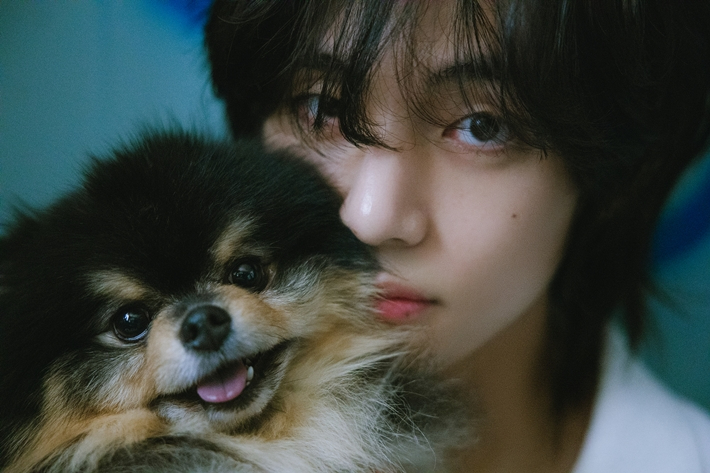 BTS's V