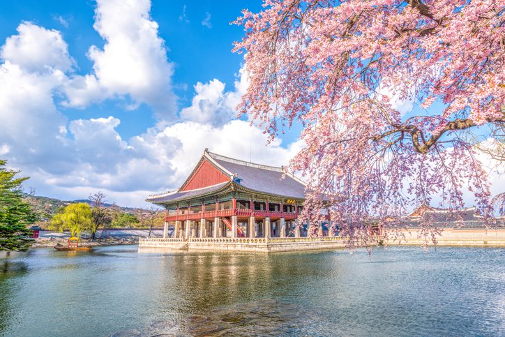 South Korea 10-Day Travel Guide: Must-Visit Attractions, Food, Hotel Recommendations, and Transportation Tips