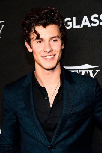 shawn mendes