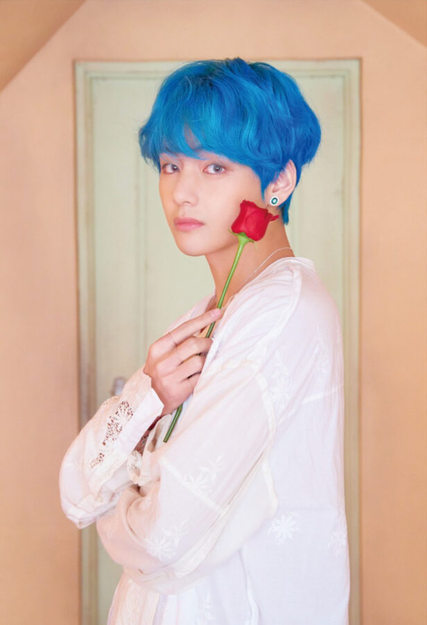 BTS V's