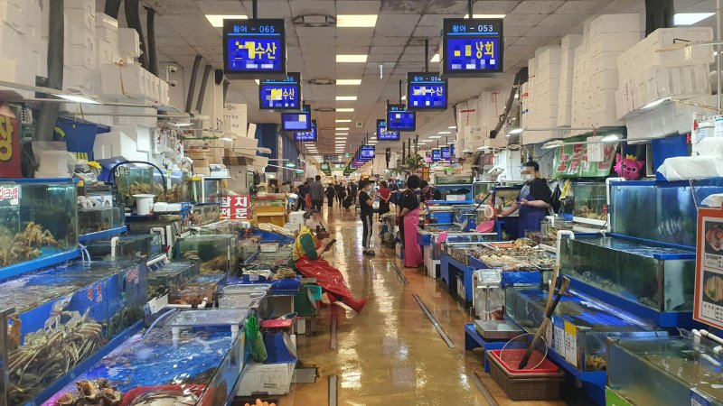 Fish Market