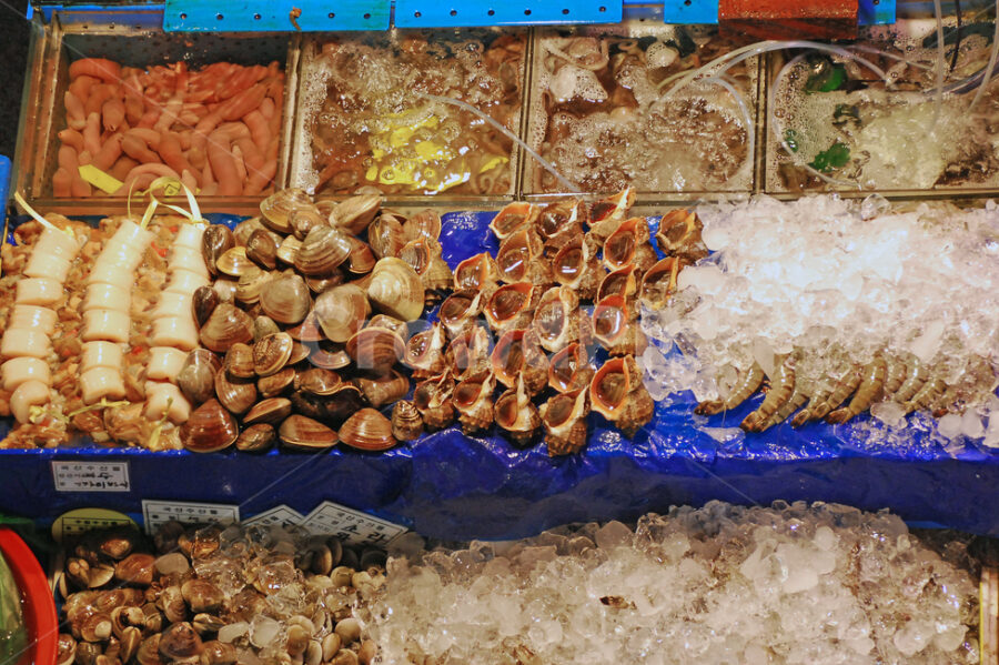 Fish Market