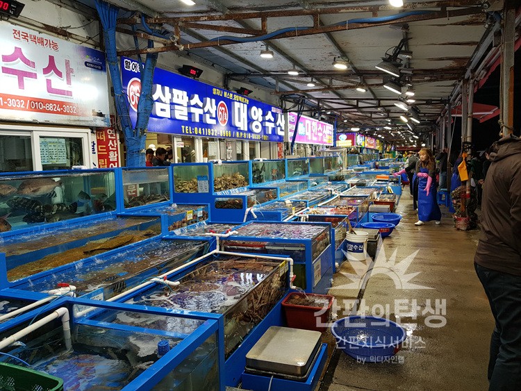 Unique Experiences for Foreigners: Touring Korean Fish Markets