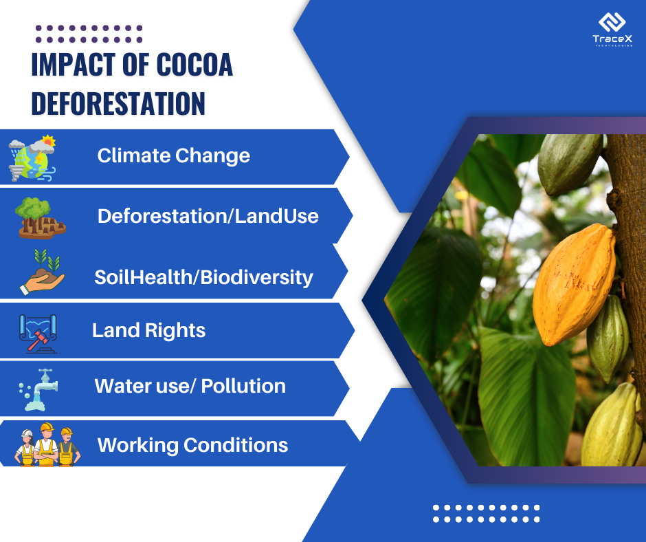 The Endangered Status of Cocoa and Its Solutions